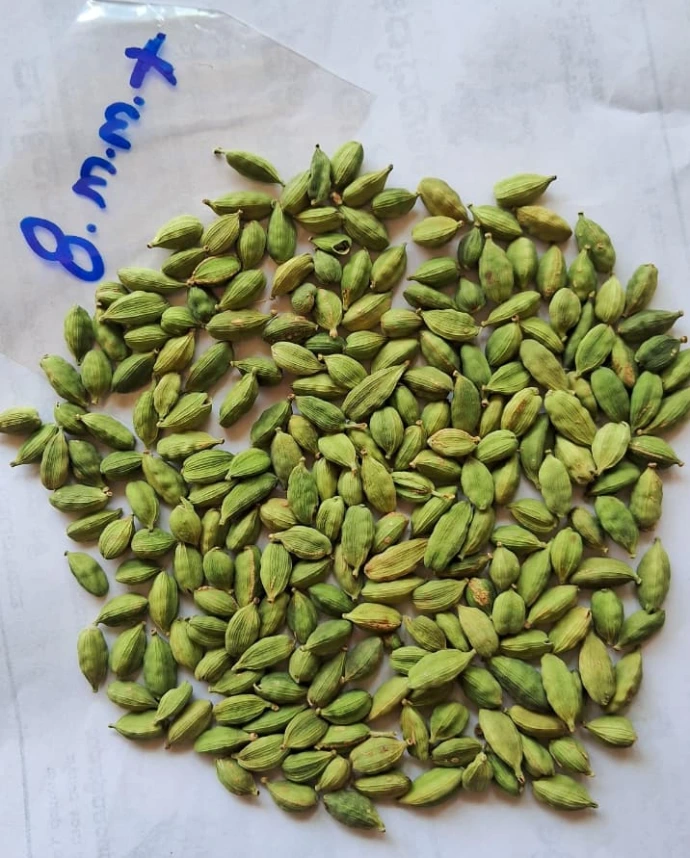 8mm plus cardamom