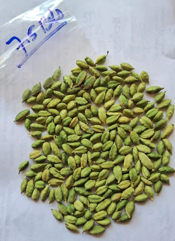 7.5mm bold cardamom