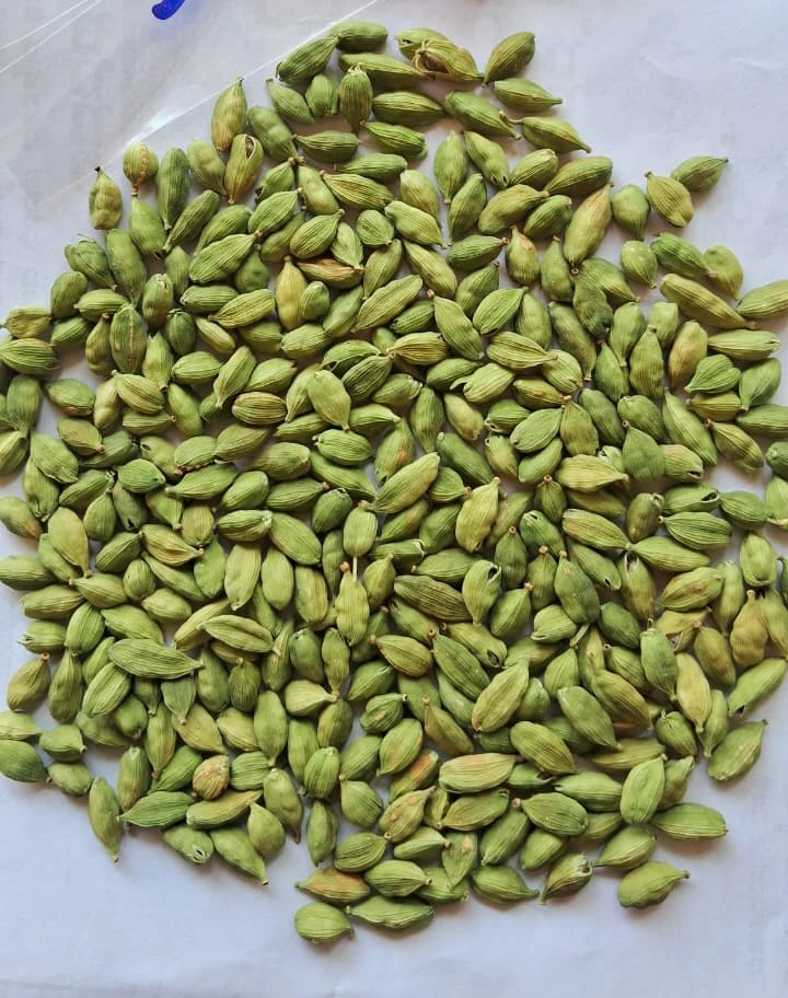 7.5mm cardamom 