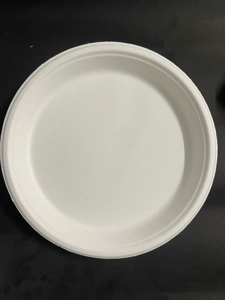 WhatsApp Image 2025-07-23 at 12.50.17 PM.webp