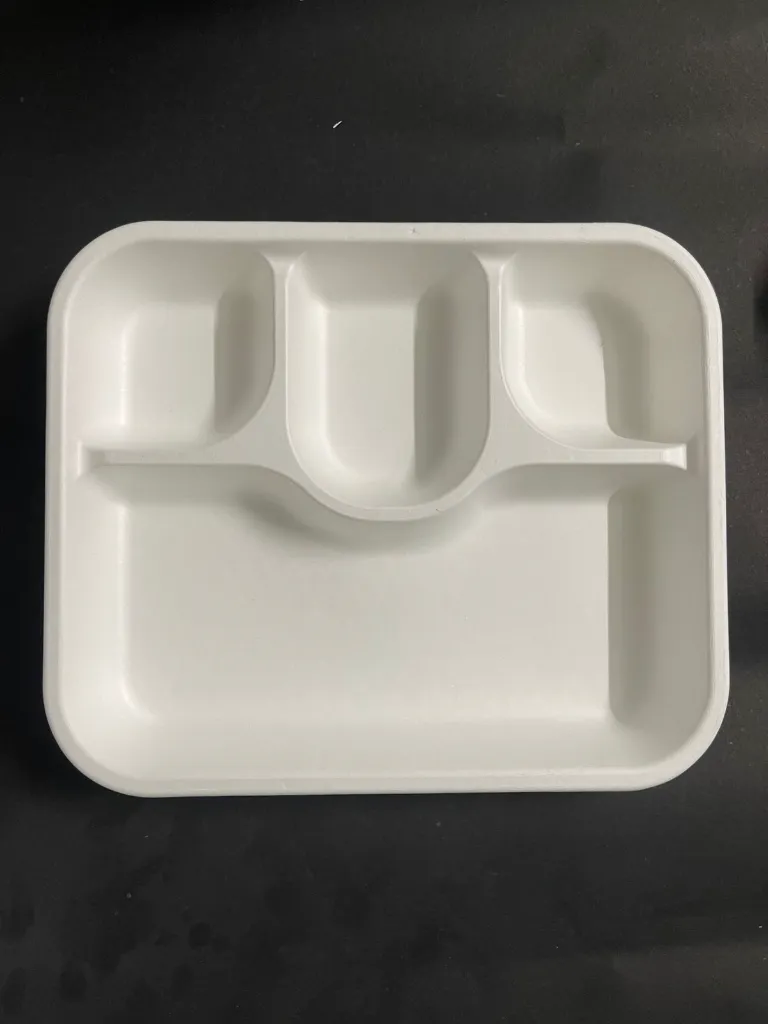 WhatsApp Image 2025-07-23 at 12.50.18 PM (1).webp