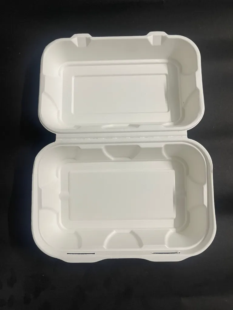 WhatsApp Image 2025-07-23 at 12.50.22 PM.webp