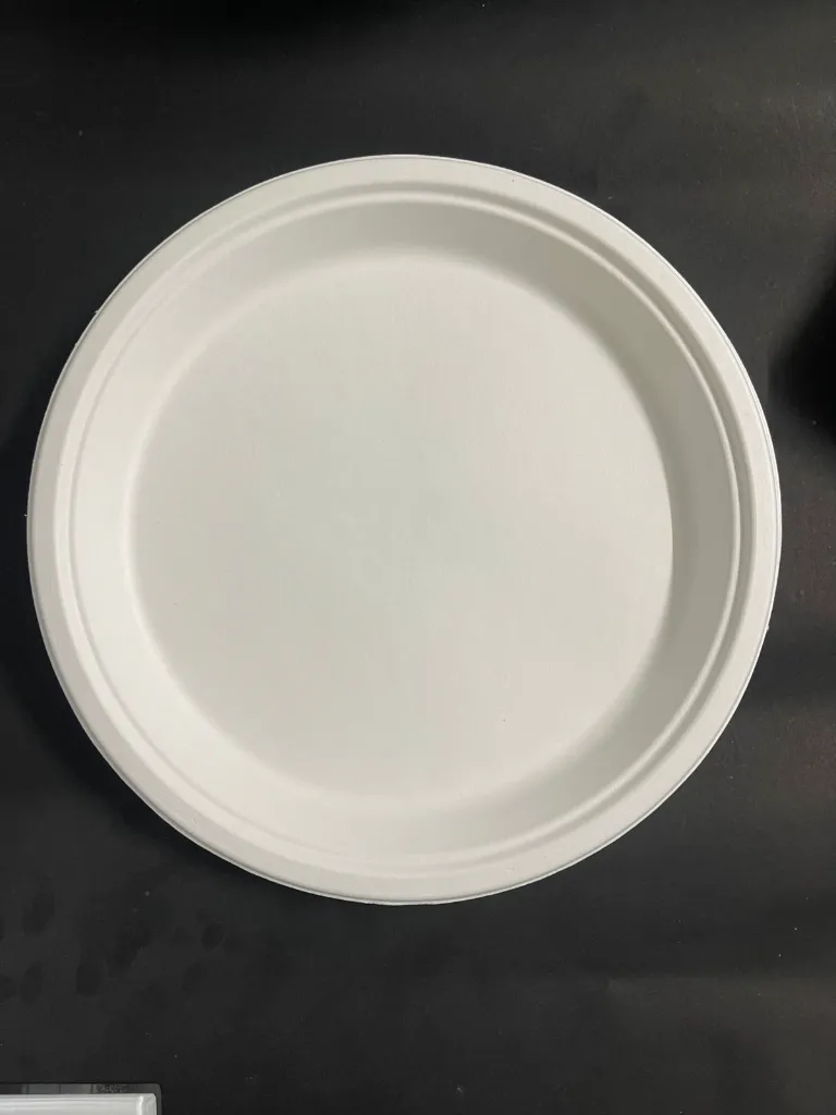 WhatsApp Image 2025-07-23 at 12.50.17 PM (1).webp