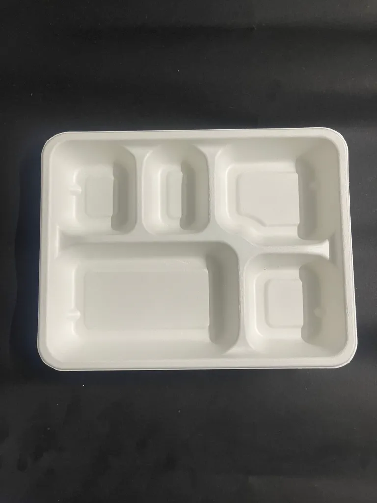 WhatsApp Image 2025-07-23 at 12.50.21 PM (1).webp