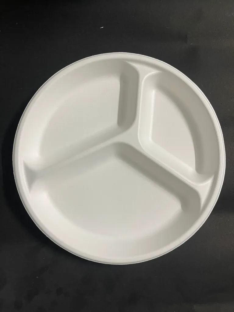 WhatsApp Image 2025-07-23 at 12.50.18 PM.webp