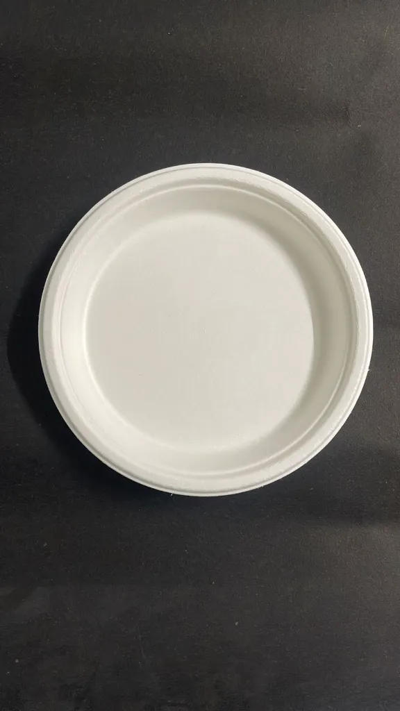 WhatsApp Image 2025-07-23 at 12.50.16 PM.webp