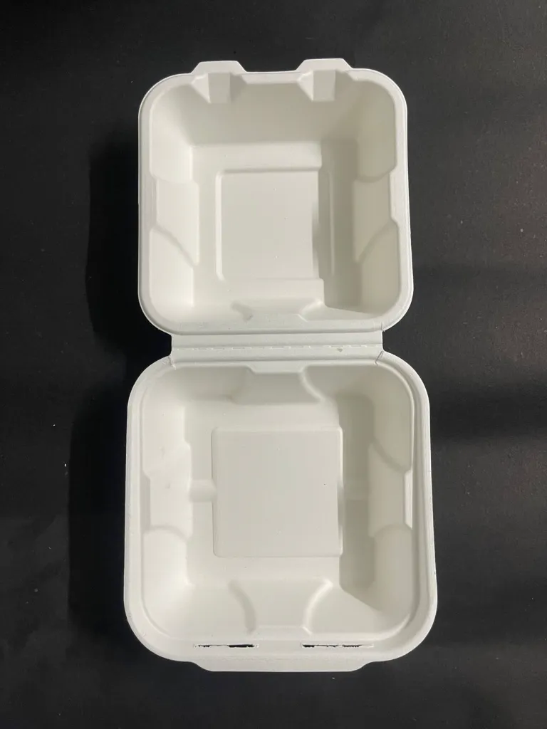 WhatsApp Image 2025-07-23 at 12.50.20 PM (1).webp