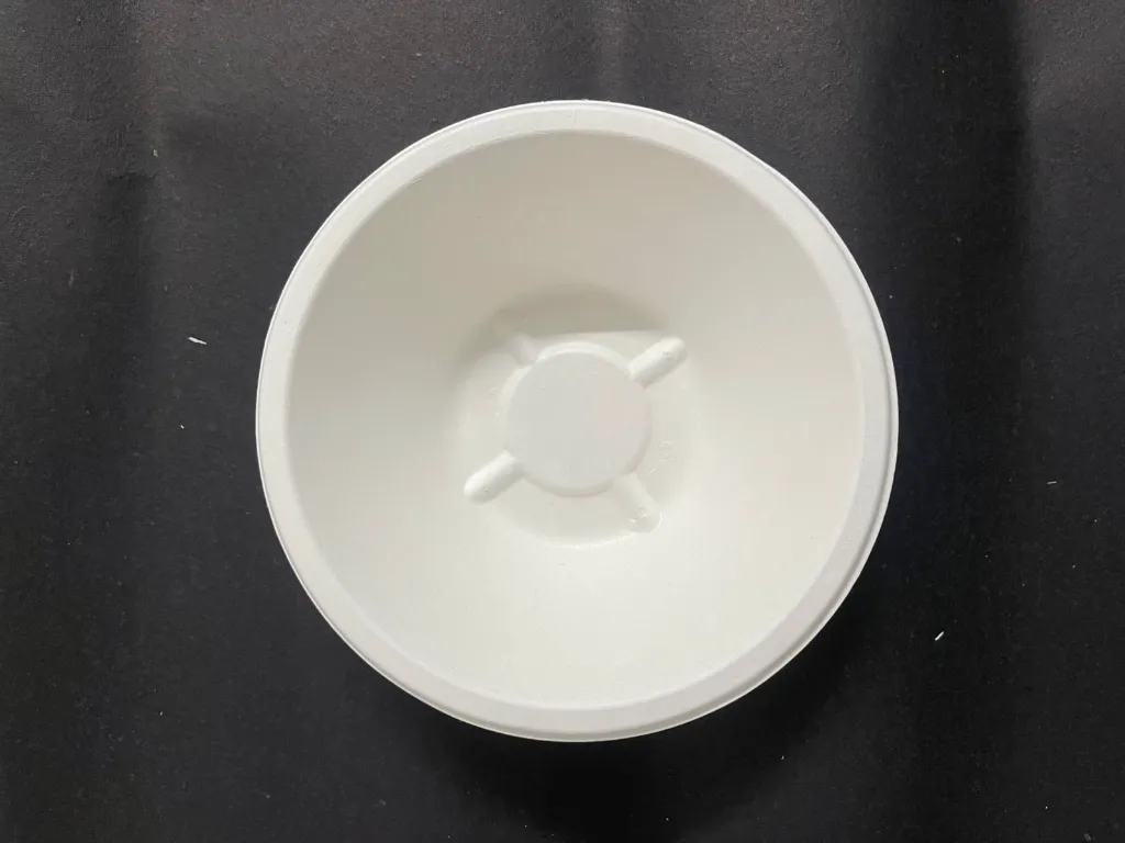 WhatsApp Image 2025-07-23 at 12.50.21 PM.webp