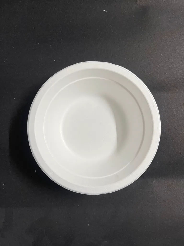 WhatsApp Image 2025-07-23 at 12.50.20 PM.webp