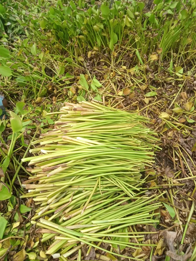 WhatsApp Image 2026-03-09 at 1.12.33 PM.webp