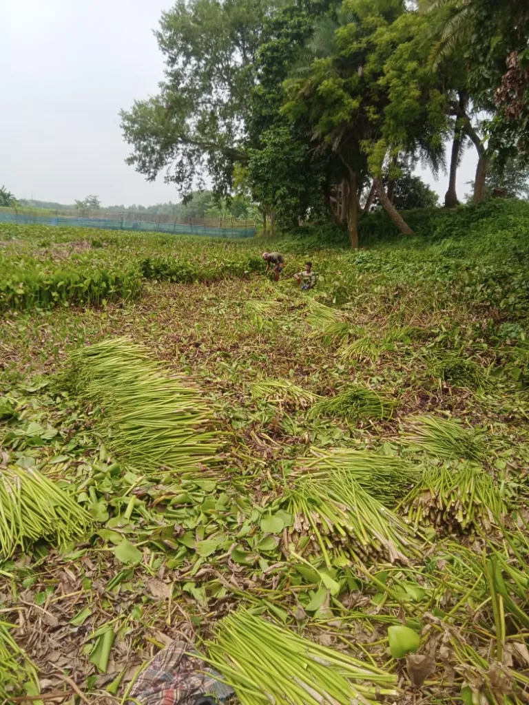 WhatsApp Image 2026-03-09 at 1.12.35 PM.webp