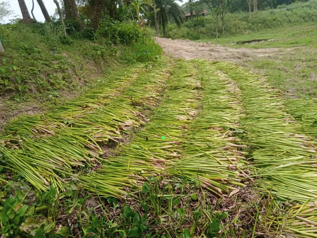 WhatsApp Image 2026-03-09 at 1.17.07 PM.webp