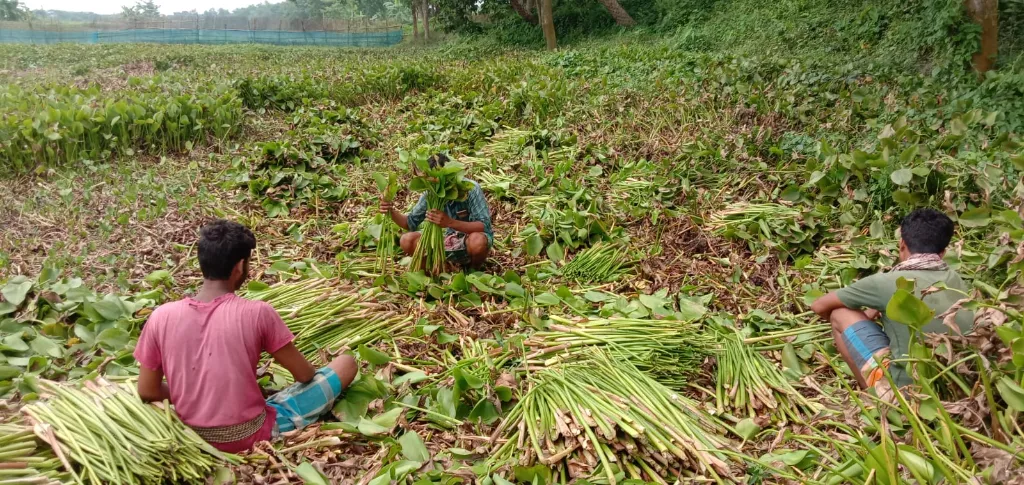 WhatsApp Image 2026-03-09 at 1.12.34 PM (1).webp