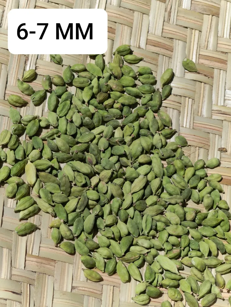 WhatsApp Image 2026-03-04 at 3.44.31 PM (1).webp