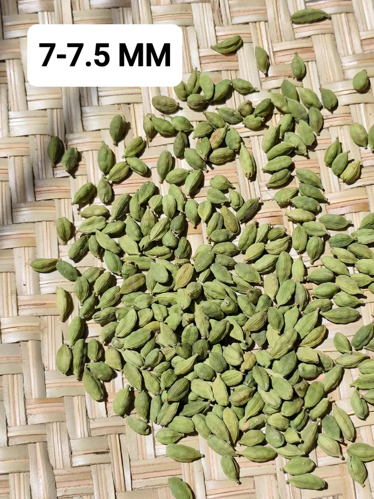 WhatsApp Image 2026-03-04 at 3.44.31 PM (2).webp