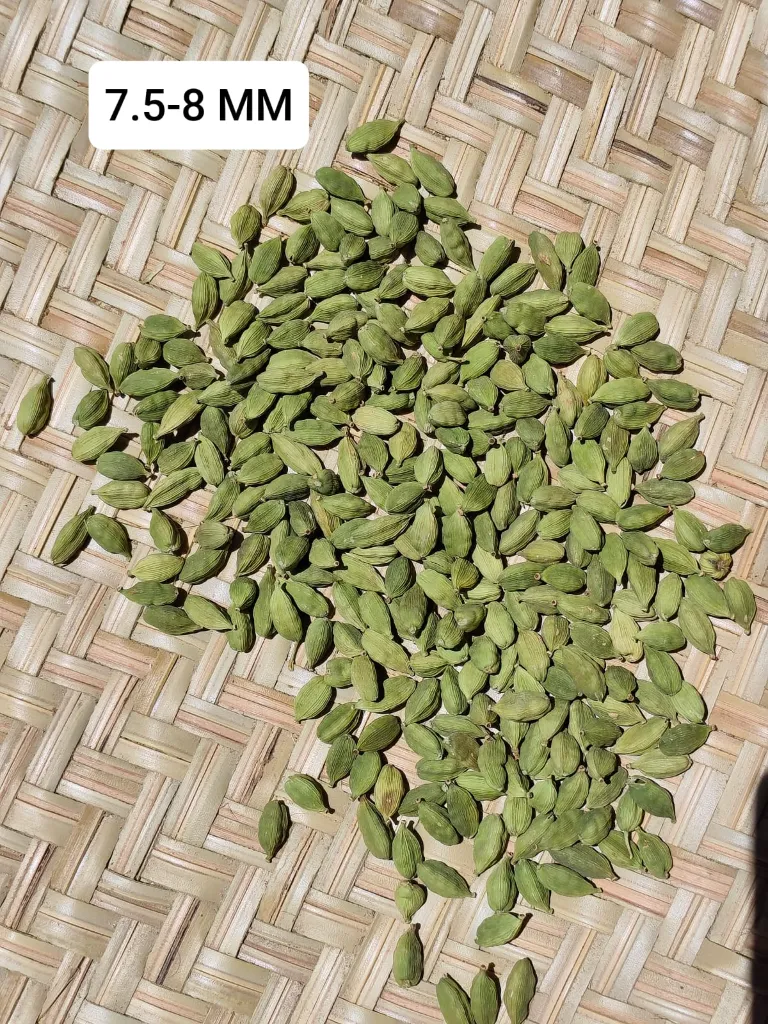 WhatsApp Image 2026-03-04 at 3.44.32 PM.webp