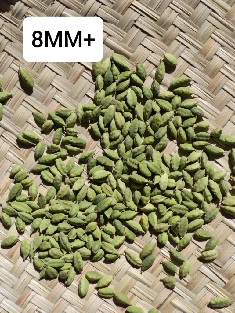 Premium Idukki Cardamom (Elachi) – Export-Quality Green Cardamom from India