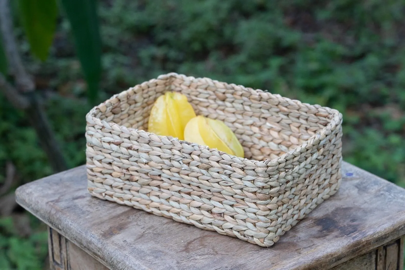 Water Hyacinth Products Manufacturer in India