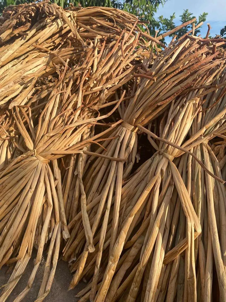 Premium Dried Water Hyacinth Stems – Natural Eco-Friendly Weaving Raw Material
